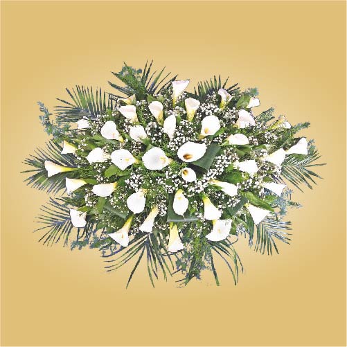 Пиафлора №17